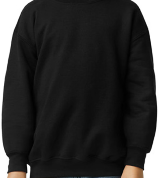Youth Crewneck Sweatshirt