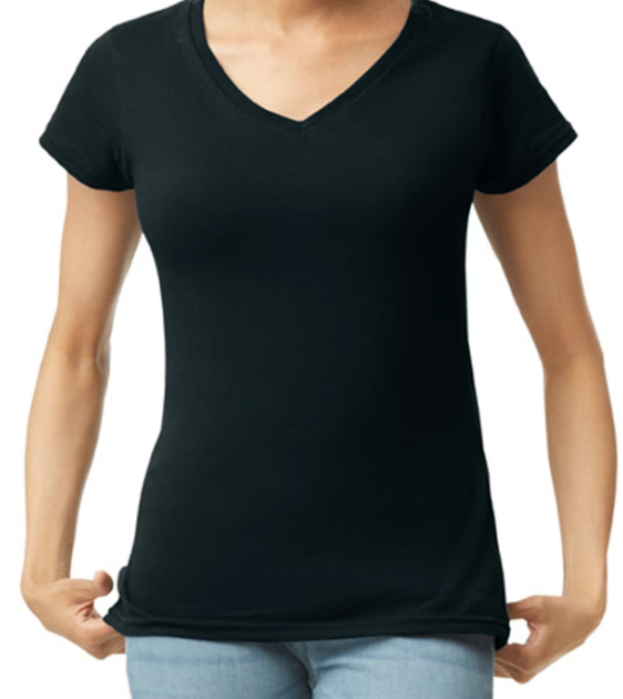 Ladies V-Neck