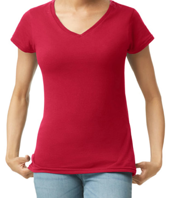 Ladies V-Neck