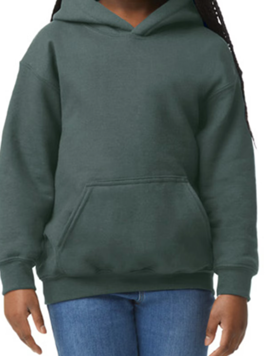 Youth Hoodie