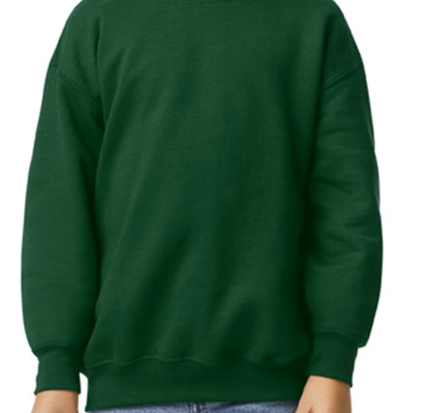 Youth Crewneck Sweatshirt
