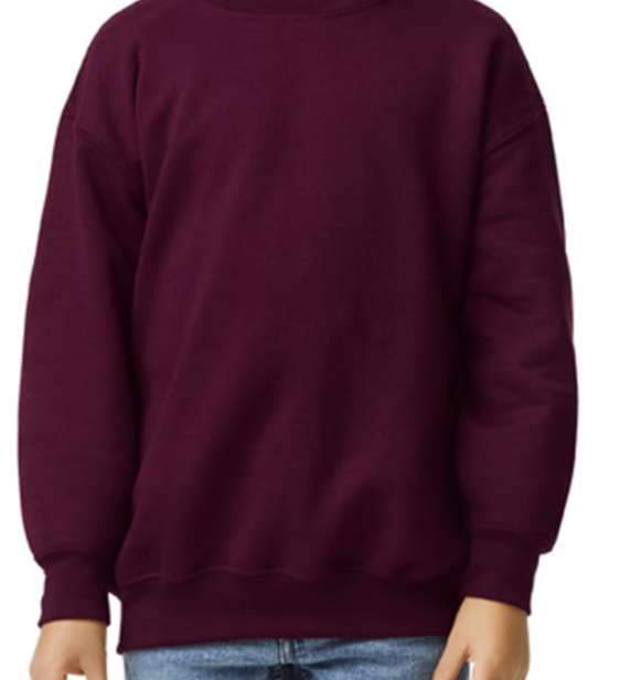 Youth Crewneck Sweatshirt