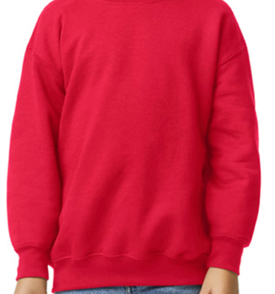 Youth Crewneck Sweatshirt