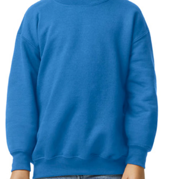 Youth Crewneck Sweatshirt